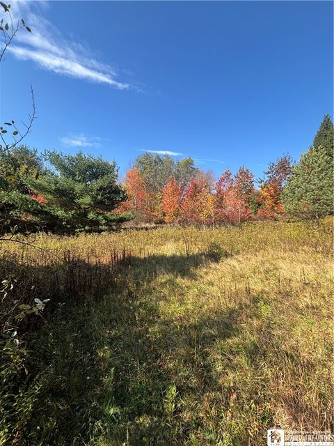 Tiny photo for 5794 Comfort Hollow Road, Scio, NY 14880 (MLS # R1724276)