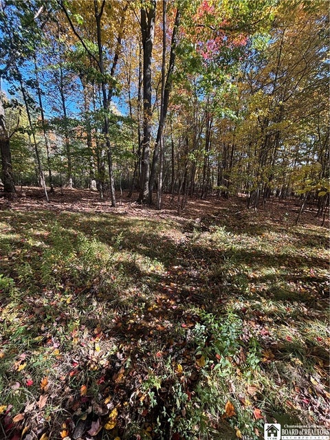 Tiny photo for 5794 Comfort Hollow Road, Scio, NY 14880 (MLS # R1724276)