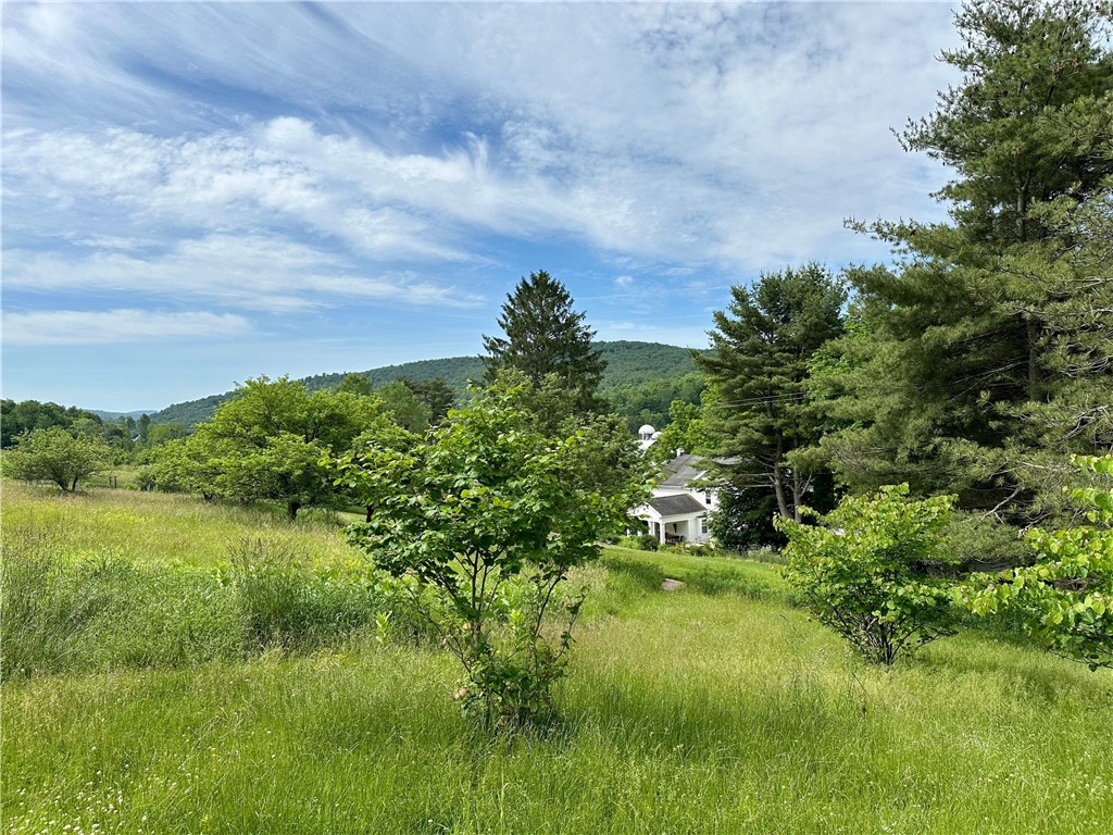 702 County Highway 5, Otego, New York image 46