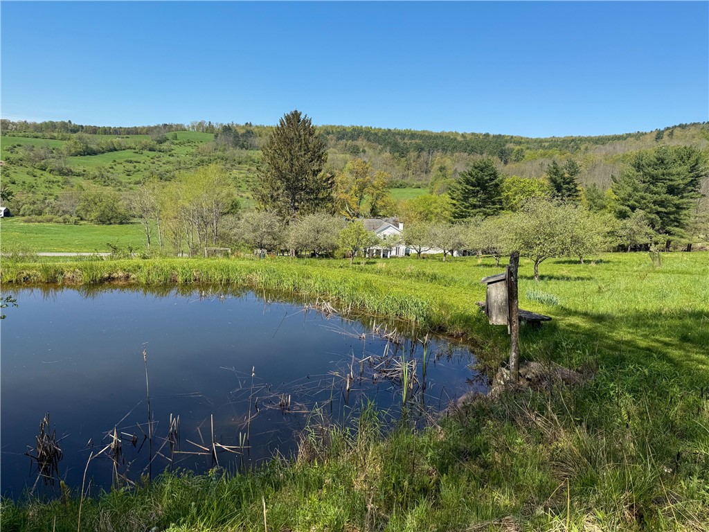 702 County Highway 5, Otego, New York image 47