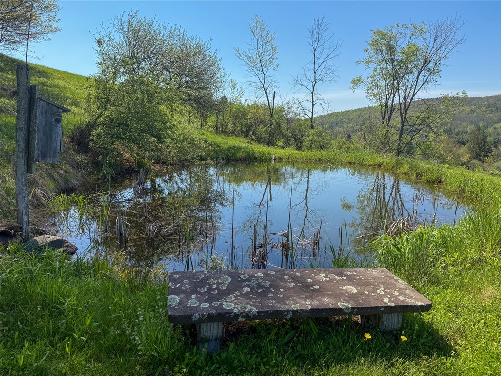 702 County Highway 5, Otego, New York image 10