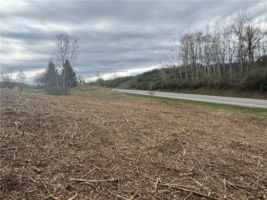 10212 STATE ROUTE 36, DANSVILLE, NY 14437 - Image 2832b4ac7d8b5d2194adf51de5d4e5db/3403239932