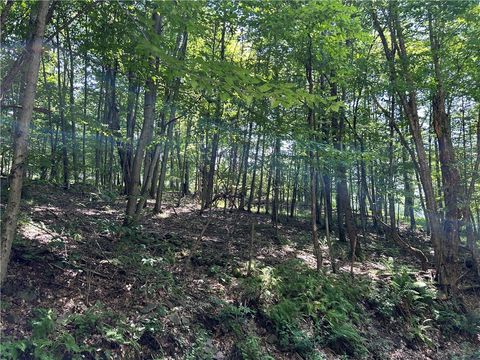 Vacant Land For Sale - Old Gladstone Hollow<br/> Andes, NY 13731