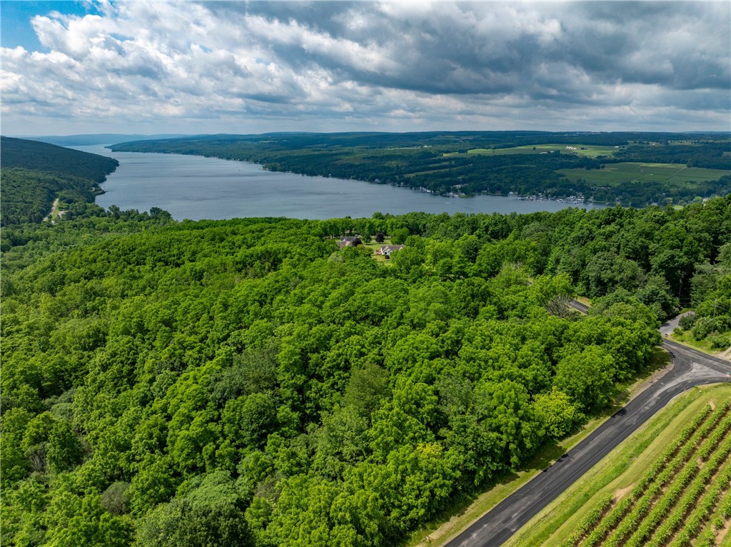 Search Properties 1 3376 nys route 54a