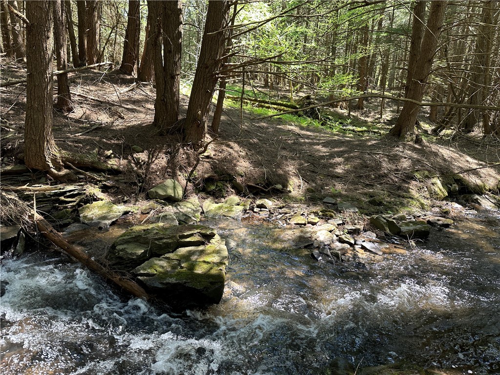 Bull Run Road, Middletown, New York image 6