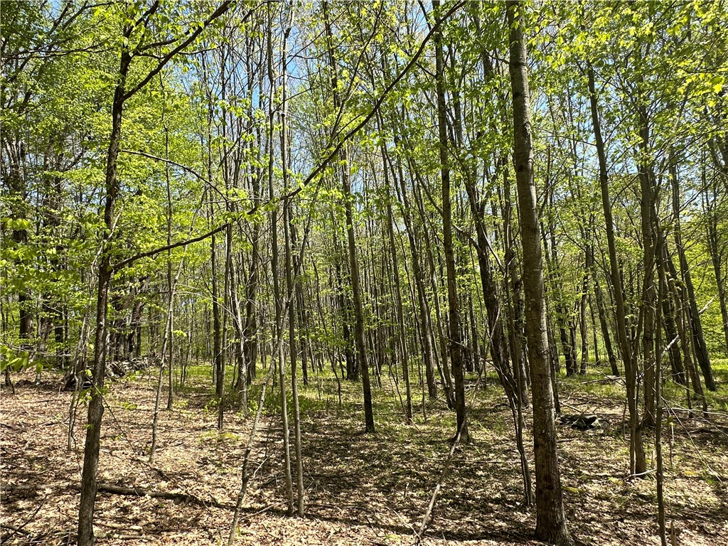 Bull Run Road, Middletown, New York image 8