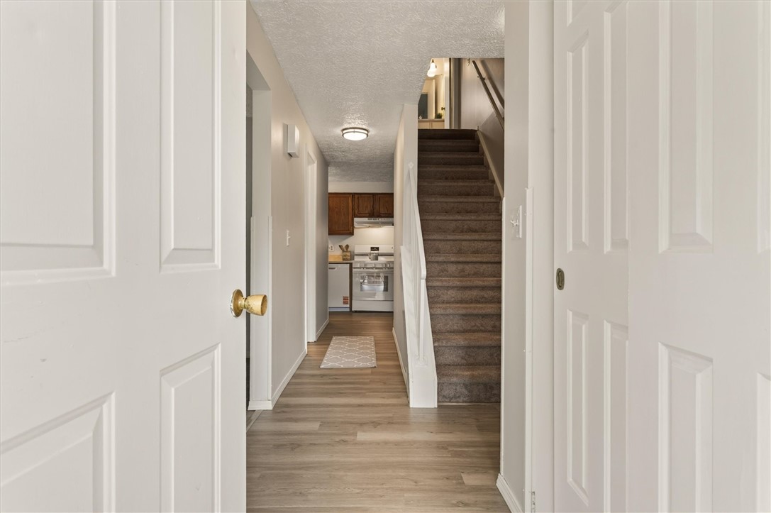 186 Wycliff Drive