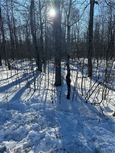 Photo of 00 Mt Tom Road, Springfield, NY 13468 (MLS # R1521784)