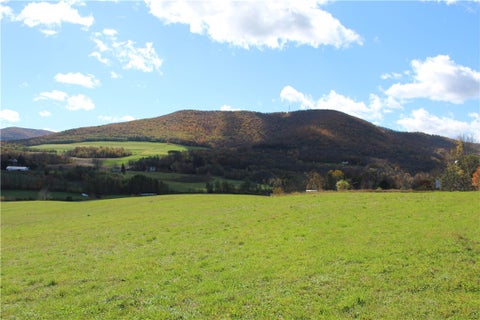 Vacant Land For Sale - 238 Blackberry Street<br/> Gilboa, NY 12167