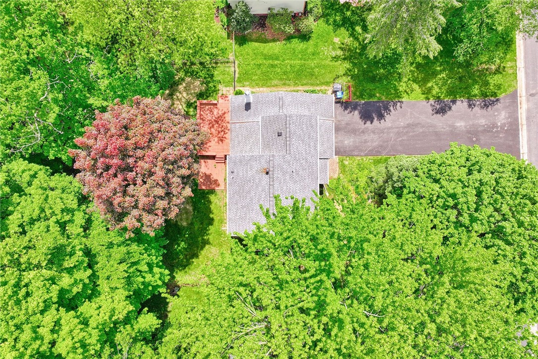 866 Bridle Ln Ln, Webster, New York image 31