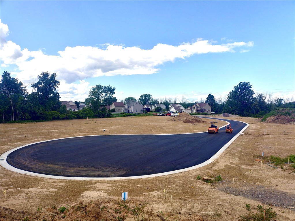 250 Bronze Leaf Trail