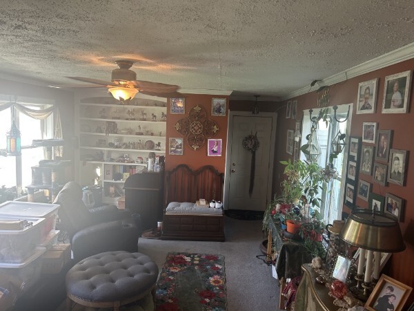 819 cheese factory rd