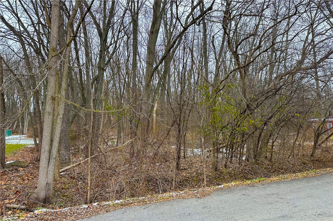 Lot B Delaware Avenue, Brighton, New York image 1