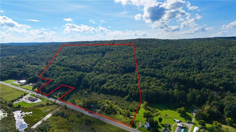 Vacant Land For Sale - 5277 State Highway 12<br/> Norwich, NY 13815