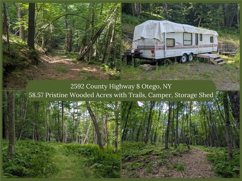Vacant Land For Sale - 2592 County Highway 8<br/> Otsego County, Otego, NY 13825