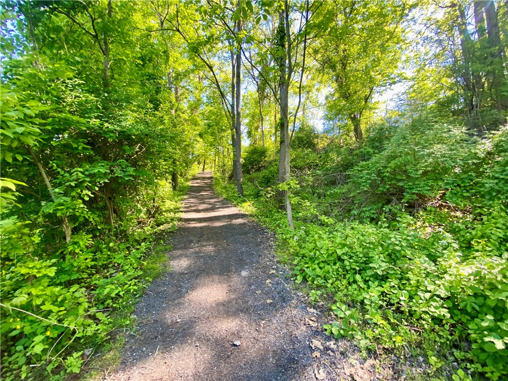 55 Meadow Cove Road, Pittsford, New York image 41