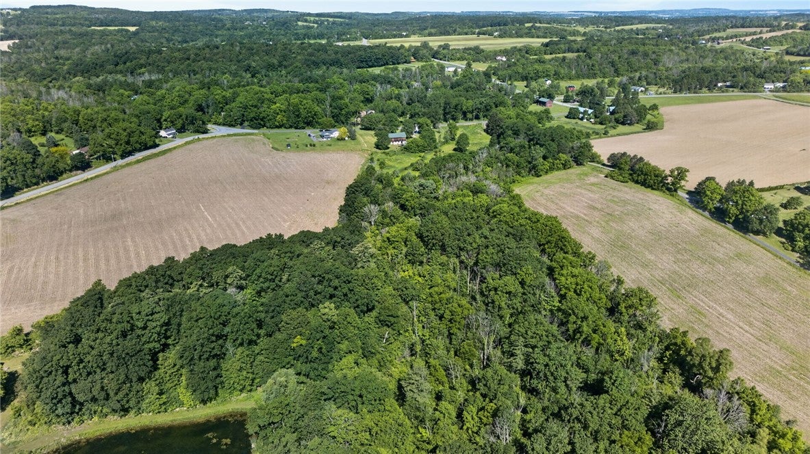 Cramer Road