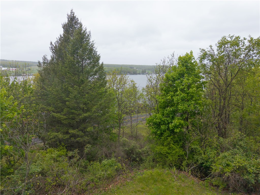 4456 County Road 25, Tyrone, New York image 5