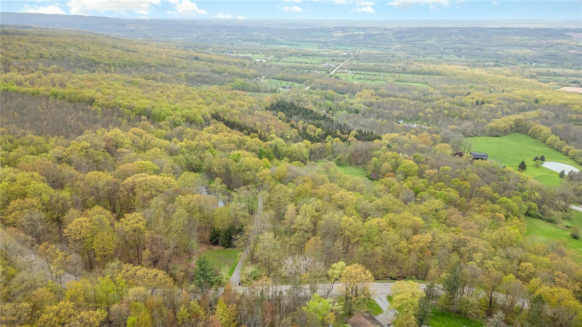 8852 Scipio Road, Nunda, New York image 34