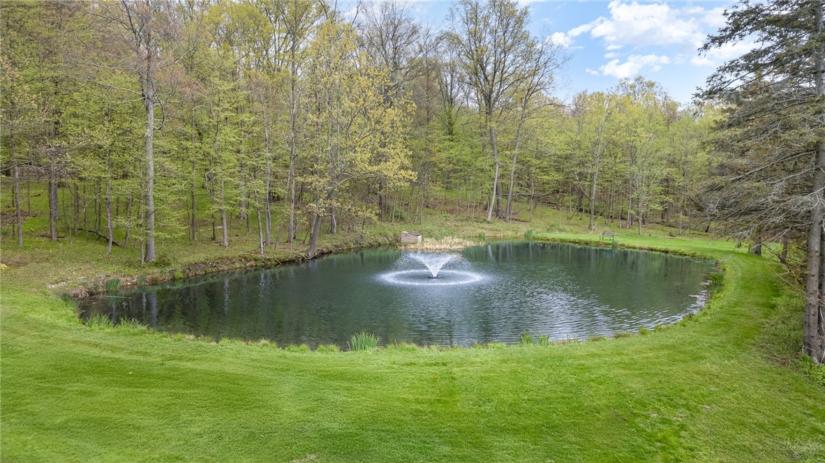 8852 Scipio Road, Nunda, New York image 33