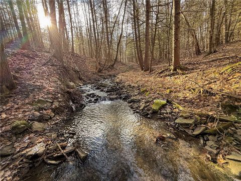 Vacant Land For Sale - Briggs Hill Road<br/> Van Etten, NY 14889