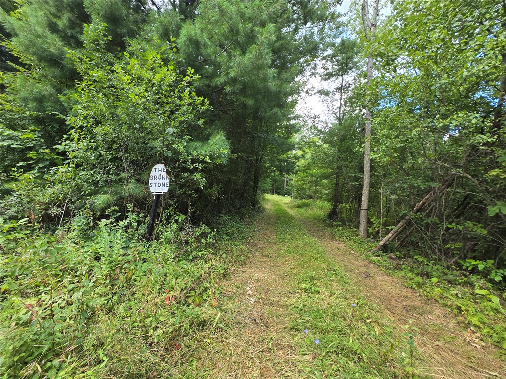 4175 Pre-emption Road