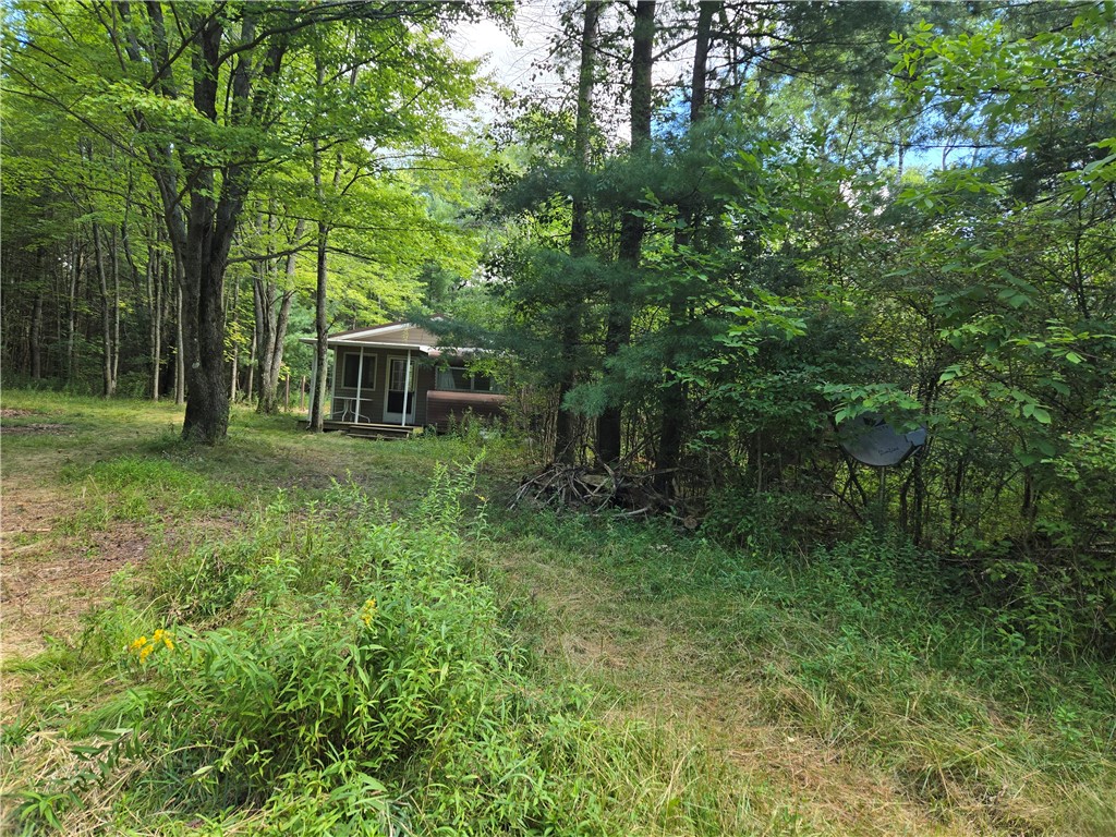 4175 Pre-emption Road