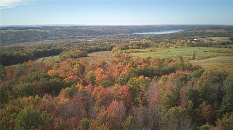 Vacant Land For Sale - 6571 Stagecoach Road<br/> Conesus, NY 14435
