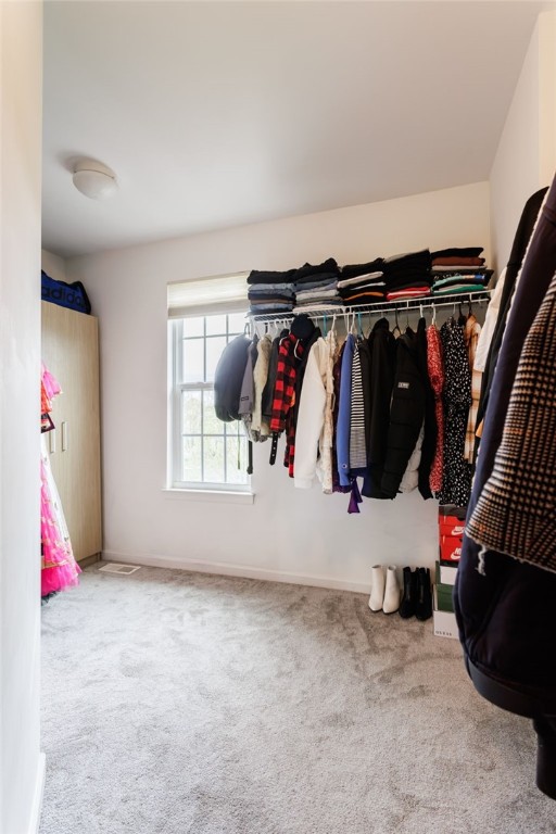 11 Blazing Star Circle, Henrietta, New York image 35
