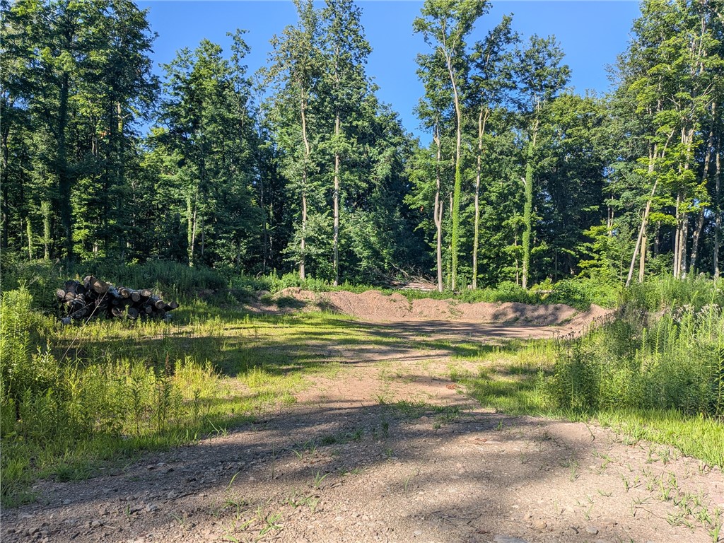 VL Lake Bluff Road