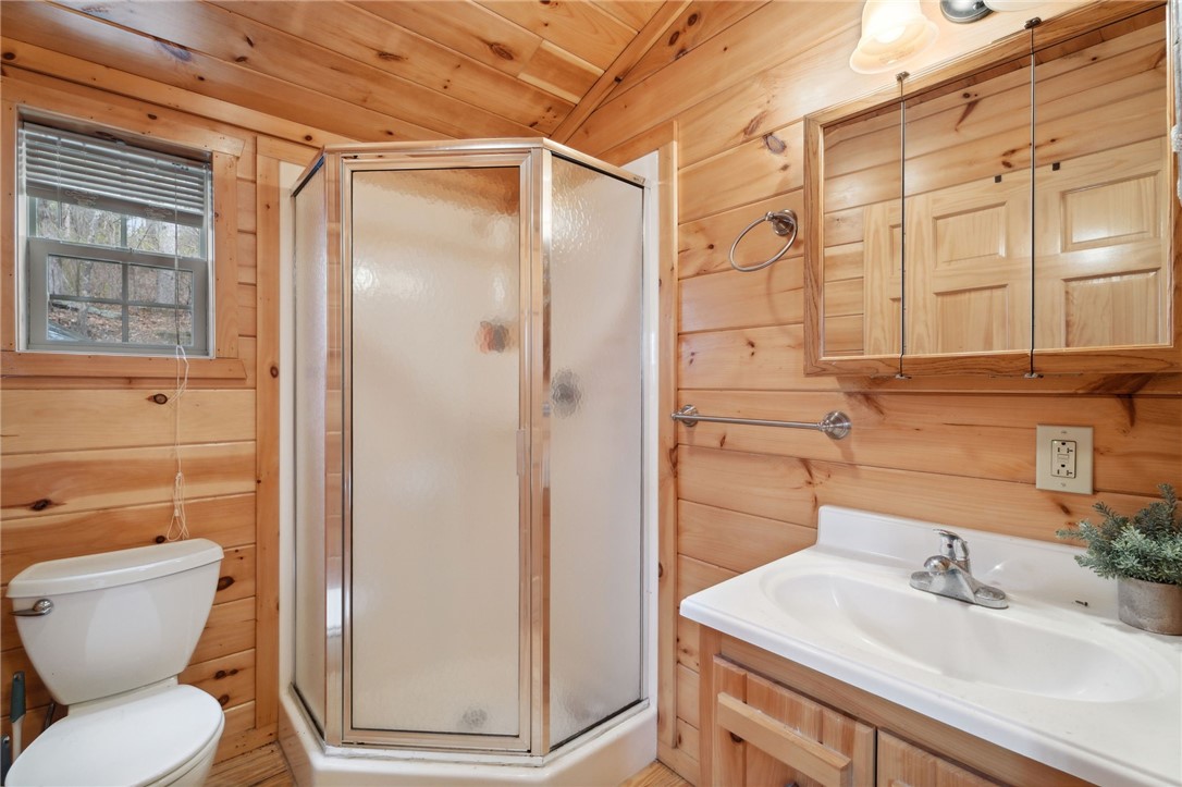 4291 Mastronardi Road #4308, Hector, New York image 33