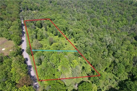 Vacant Land For Sale - Cemetery Hill Road<br/> Oneonta, NY 13820