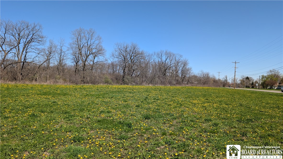 Walmore Road, Lewiston, New York image 1