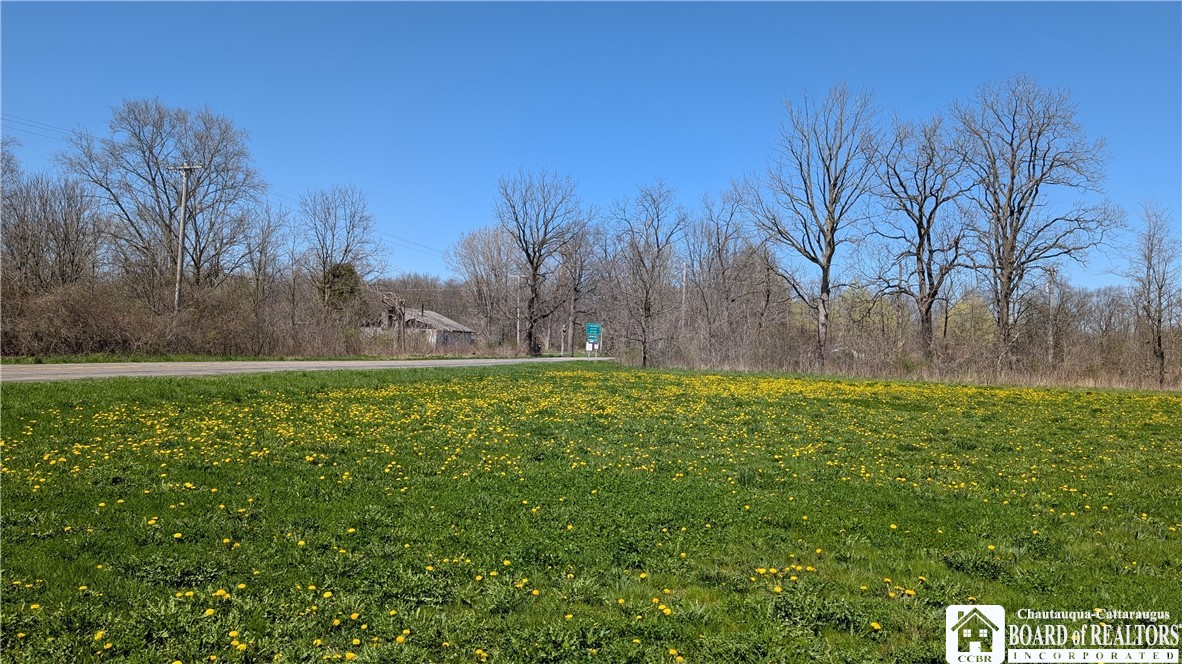 Walmore Road, Lewiston, New York image 5