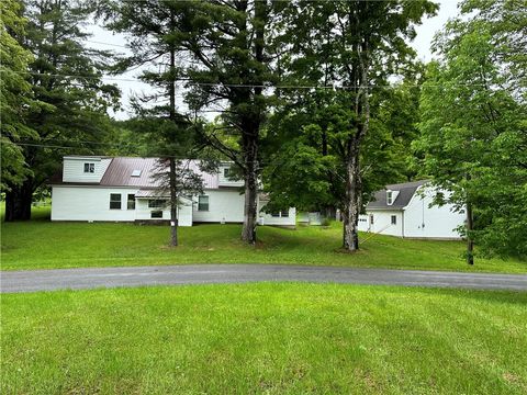 1123 Herrick Hollow Road Sidney Center NY 13839