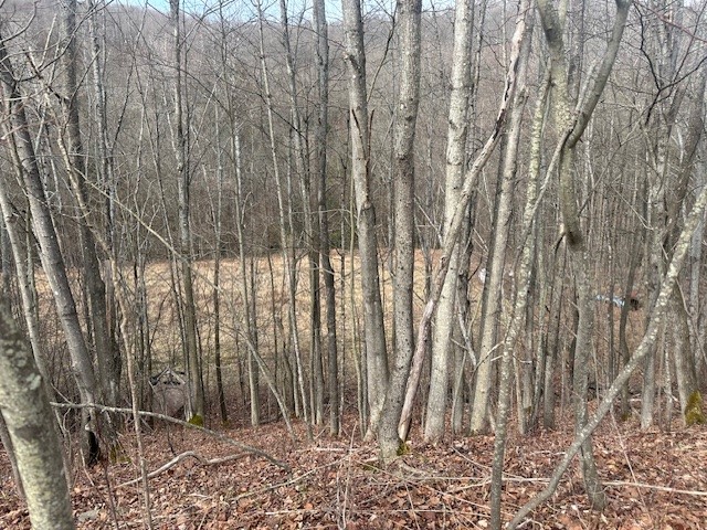 Cr-126, Greenwood, New York image 1