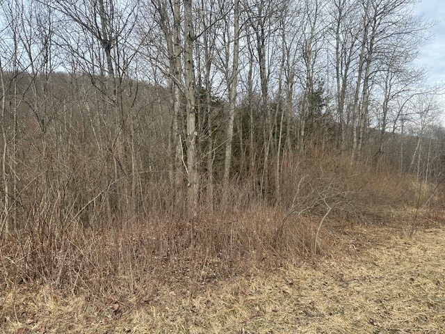 Cr-126, Greenwood, New York image 2