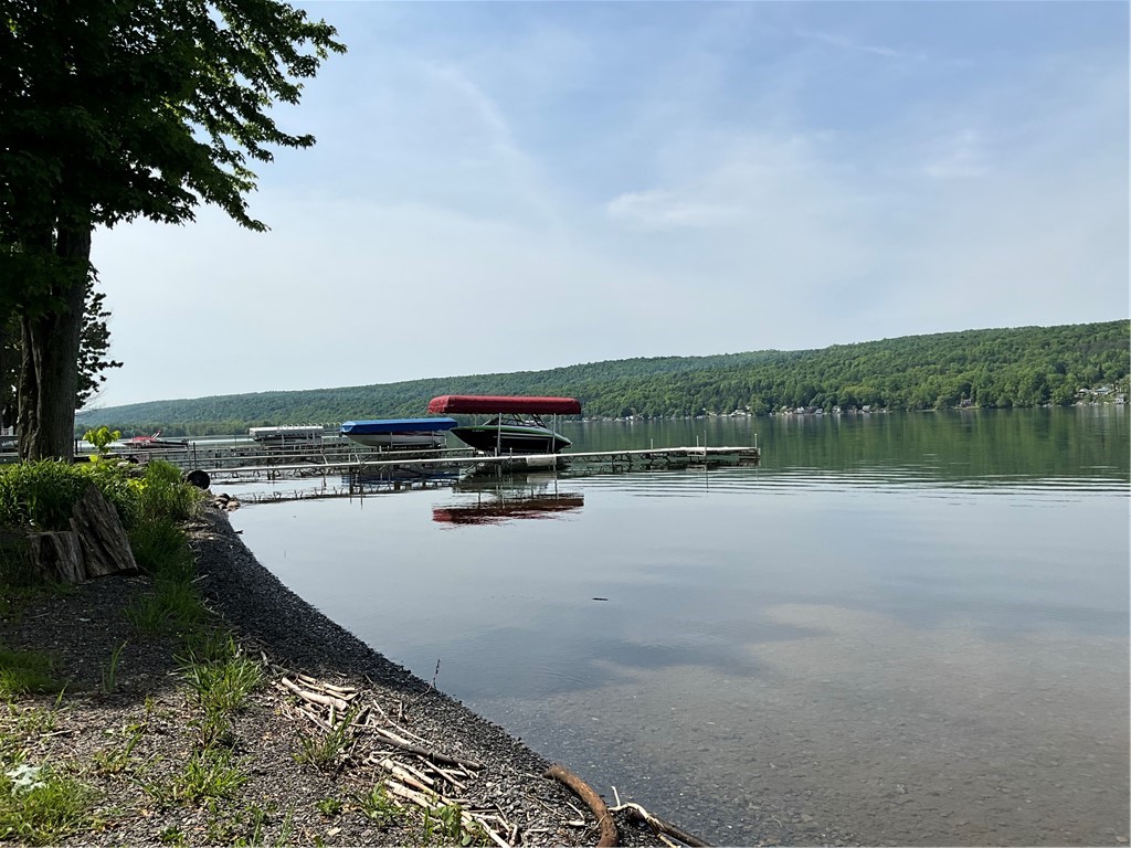 499 Indian Cove Cv, Moravia, New York image 31