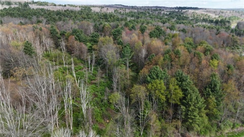 Vacant Land For Sale - 9155 Smith Road<br/> Lindley, NY 14858