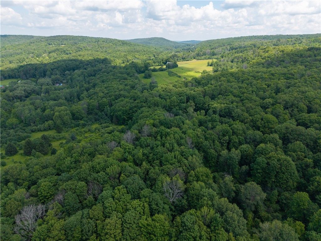 Photo of 9052 County Road 15b, Birdsall, NY 14822 (MLS # R1697661)