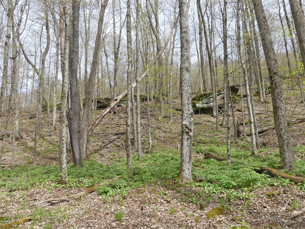 Lot #28 Timberland Drive