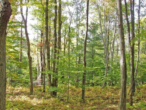 Photo of Timberland Drive, Andes, NY 13731 (MLS # R1661515)