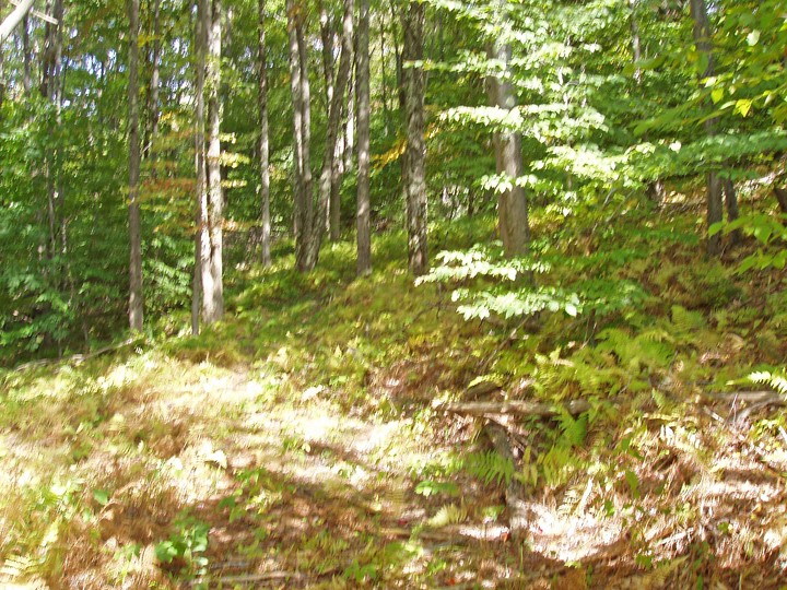 Lot #28 Timberland Drive