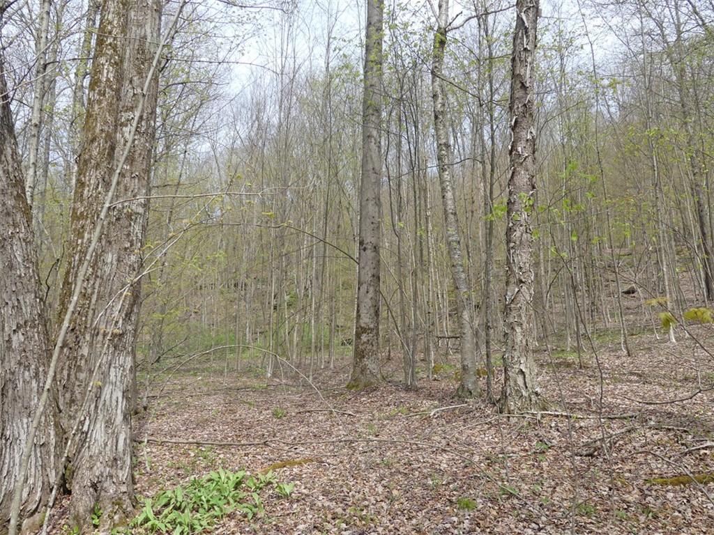 Lot #28 Timberland Drive