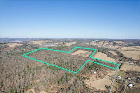 Vacant Land For Sale - 365 Monkey Run Road<br/> Elmira, NY 14901