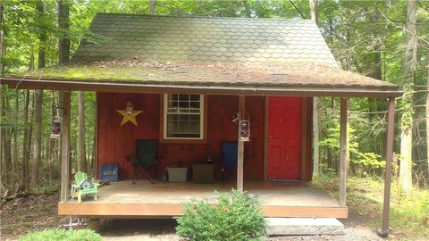 Vacant Land For Sale - 1429 & 1451 Andrea Drive<br/> Seneca County, Lodi, NY 14860