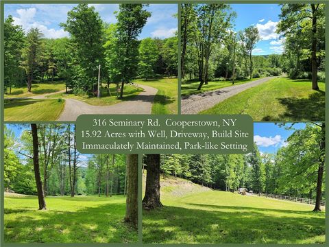 Photo of 316 Seminary Road, Hartwick, NY 13348 (MLS # R1646615)