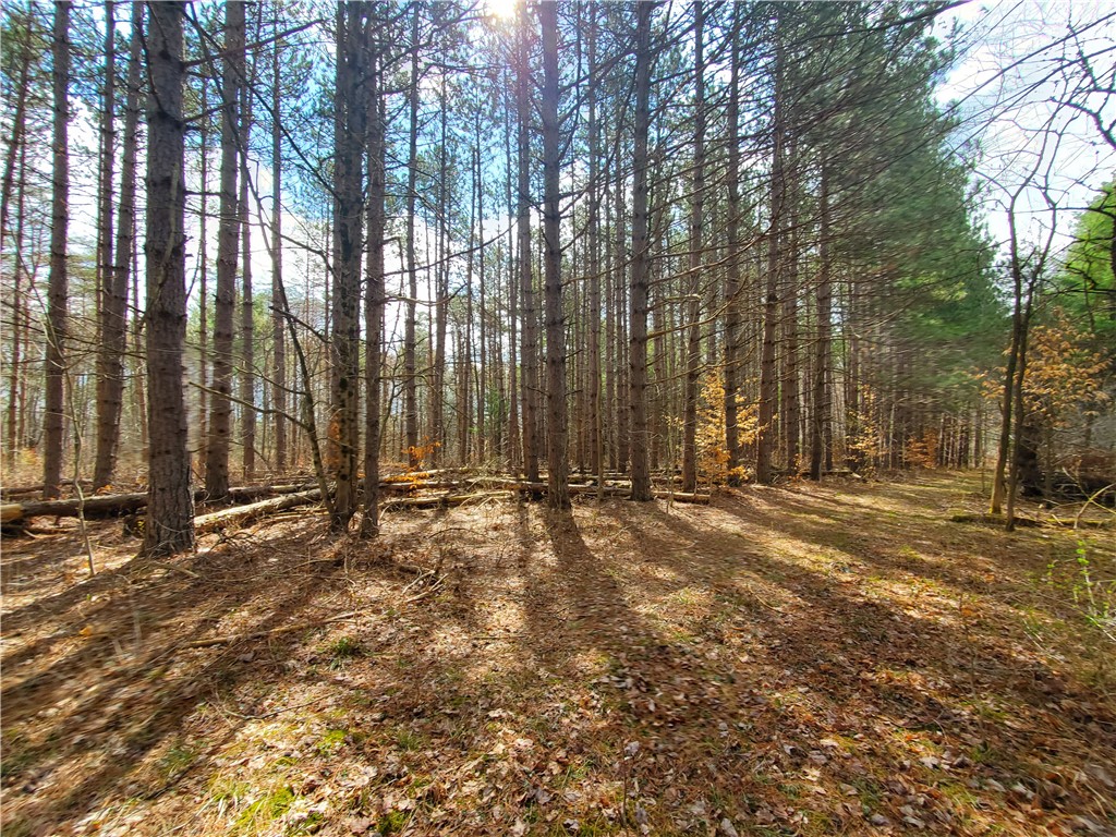 Lot #7 Goddards Road, New Lisbon, New York image 11