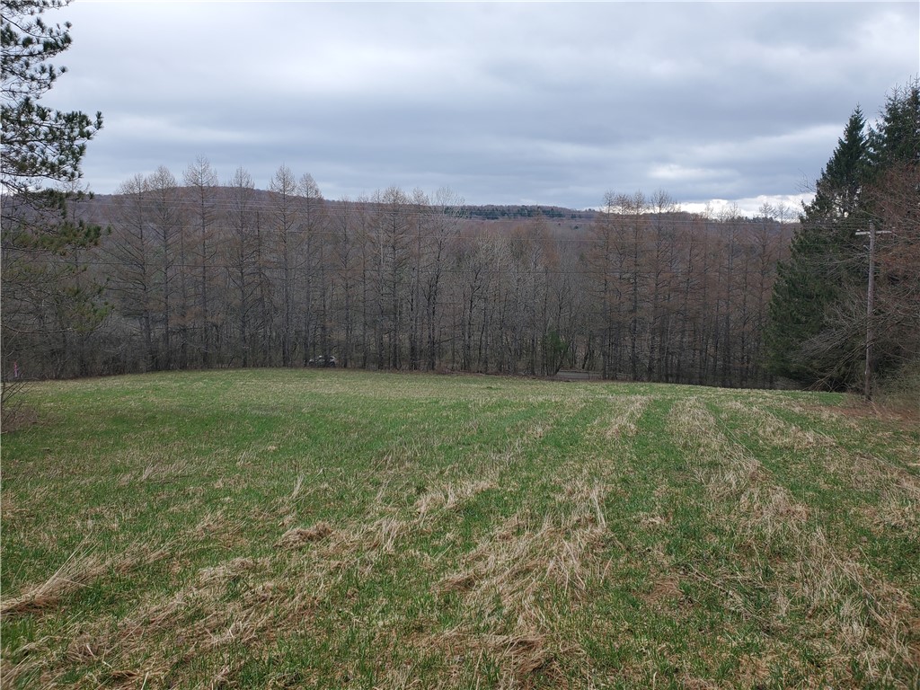 Lot #7 Goddards Road, New Lisbon, New York image 7
