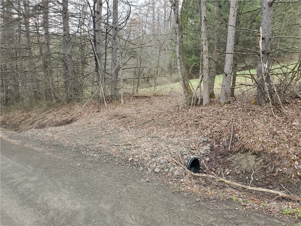 Lot #7 Goddards Road, New Lisbon, New York image 5